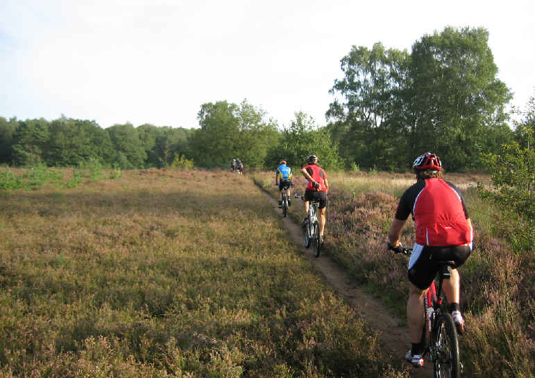 Vasser Heide
